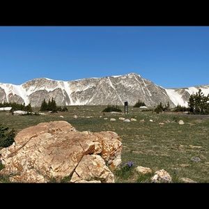 Meet your Posher, Roy